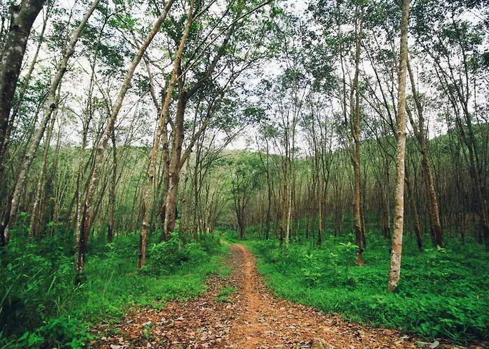 Haus Deimel Winterberg